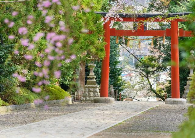 Torii du sanctuaire Osaki Hachimangu, Sendai
