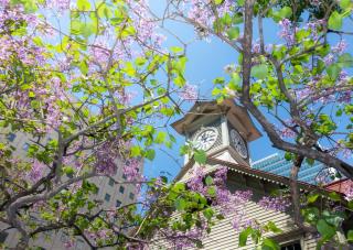 Tour de l’horloge de Sapporo