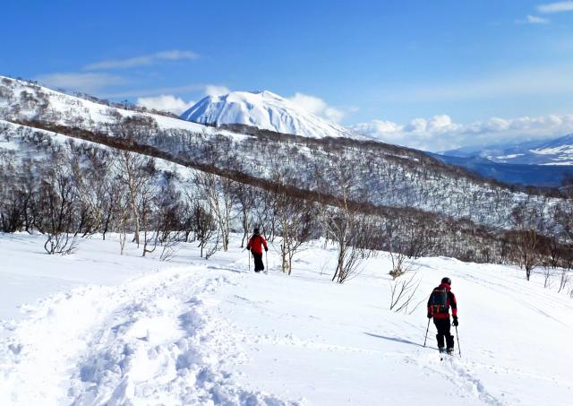 Ski hors-piste à Niseko