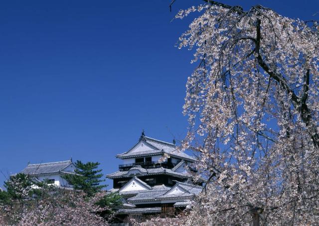 Château de Matsuyama