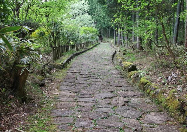 La route de Nakasendo 