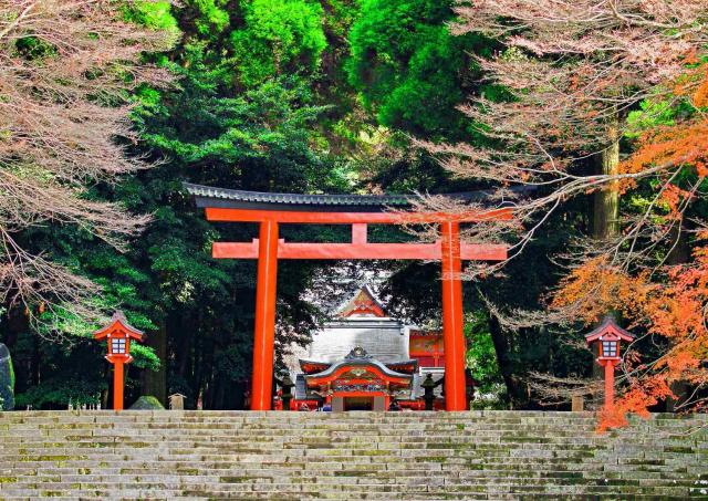 Torii du sanctuaire de Kirishima Jingu