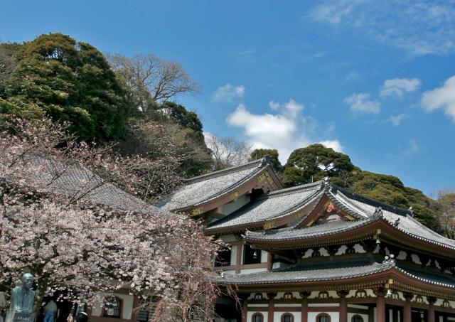 Temple Hase-dera