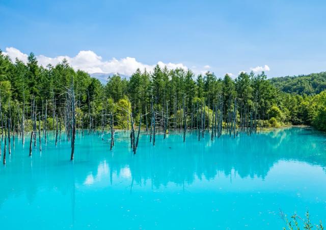 Étang bleu de Shirogane à Biei