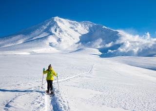 Ski dans le parc national de Daisetsuzan 