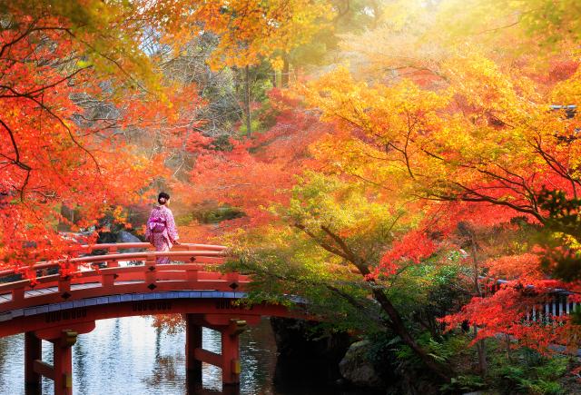 L’automne au Japon