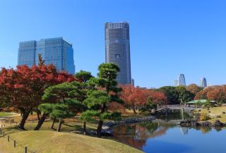 Jardin Hamarikyu, Tokyo