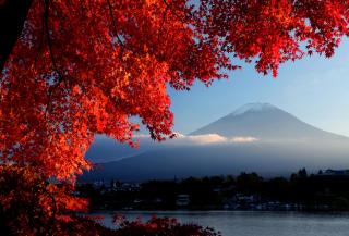 Le mont Fuji et le lac Kawaguchi