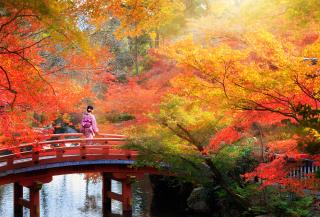 L'automne au Japon