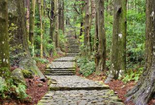 Pèlerinage de Kumano Kodo