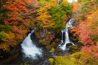 Cascade de Ryuzu, Nikko