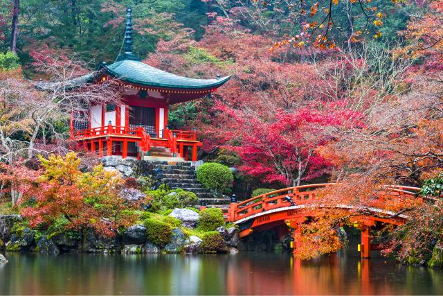 Temple Daigo-ji en automne