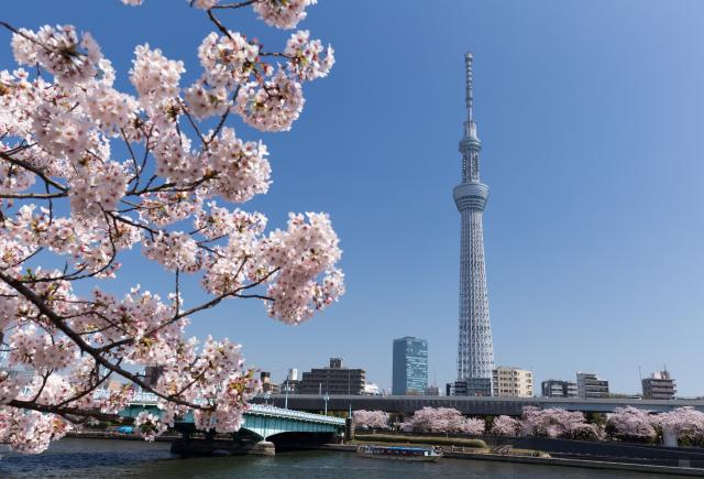 Tour Skytree, Tokyo