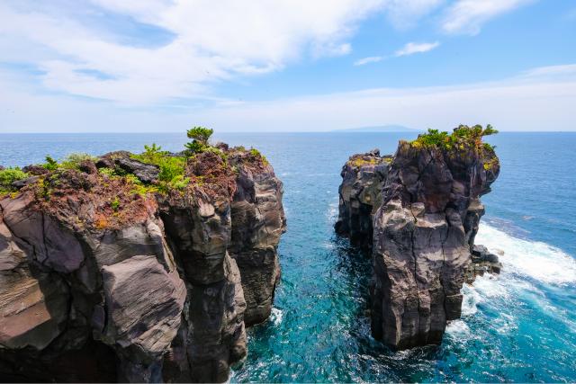 Côte de Jogasaki, péninsule d'Izu