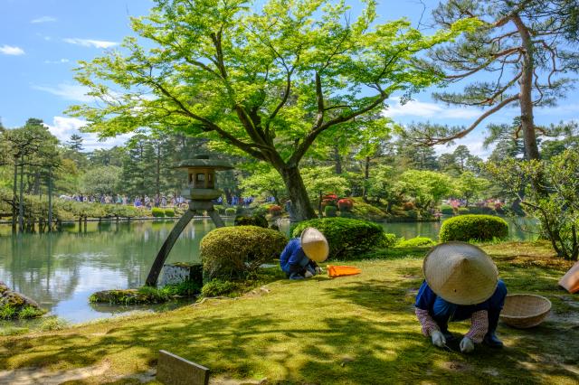 Jardin Kenrokuen, Kanazawa