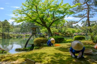 Jardin Kenrokuen, Kanazawa