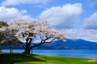 Lac Tazawa