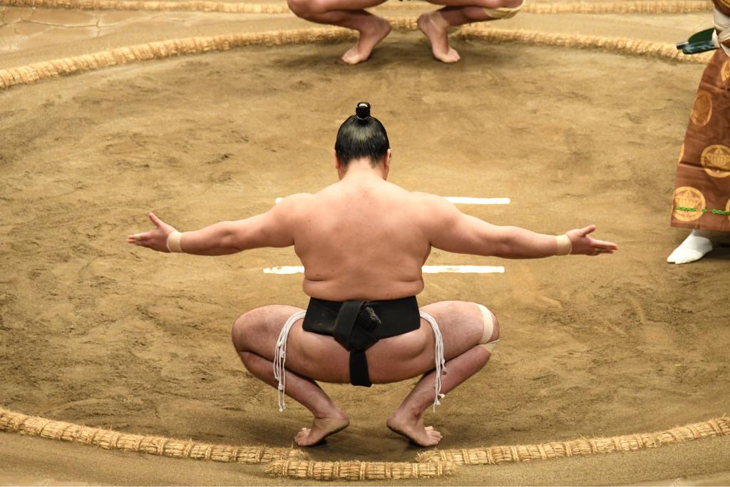 Entraînement des sumotoris