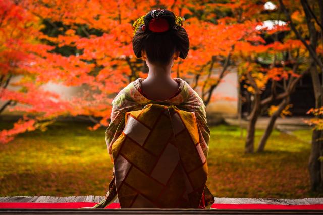 Dîner avec une maiko, Kyoto