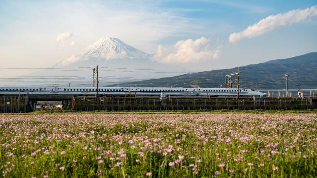 Train Shinkansen et mont Fuji