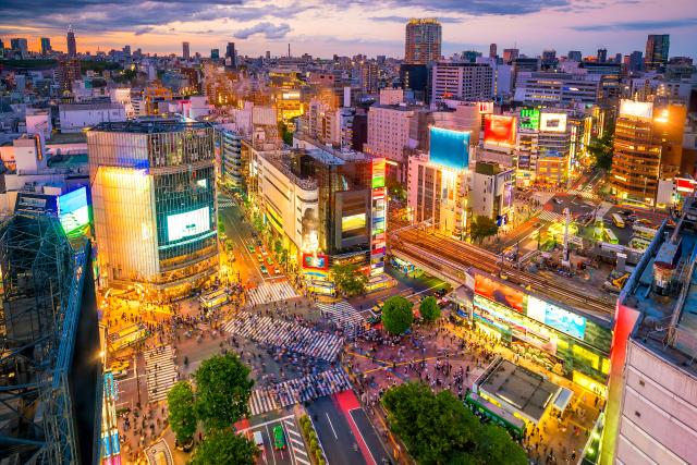 Panorama urbain de Tokyo