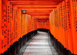 Sanctuaire de Fushimi Inari