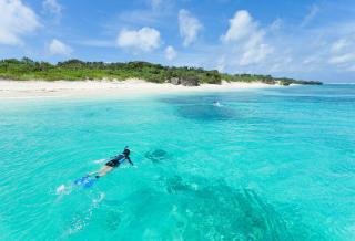 Plongée sous-marine, Okinawa