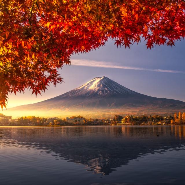 Voyagez au cœur des Momiji
