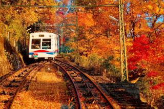 Funiculaire dans les montagnes de Kyoto