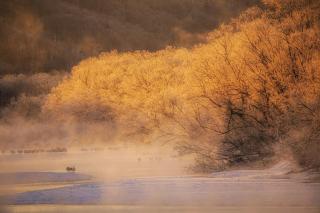 Scène matinale en hiver à Hokkaido