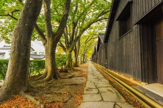 Les entrepôts de riz de Sakata