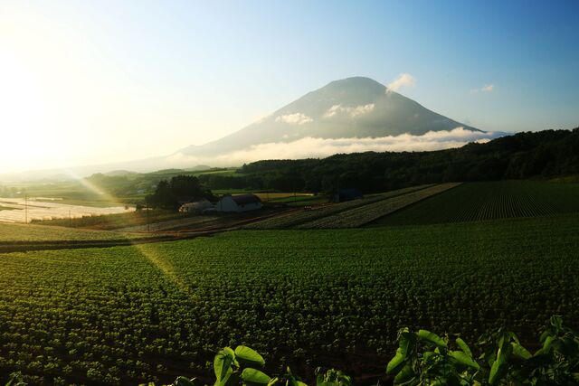 Mt. Yotei en été, Niseko