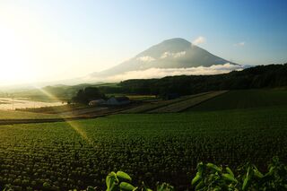 Mt. Yotei en été, Niseko
