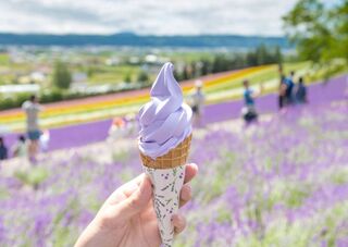 Glace d'Hokkaido dans les champs de fleurs de Furano