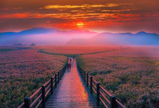 Baie de Suncheon, Yeosu