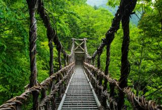 Pont de Kazurabashi, vallée d'Iya