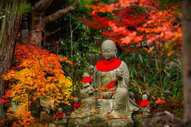 Séjours dans un temples